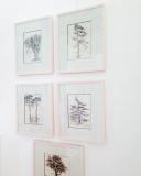 My Friends the Trees , the original collection