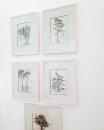 My Friends the Trees , the original collection
