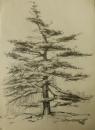 'Home Tree'
