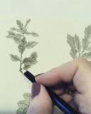 Drawing in action2
